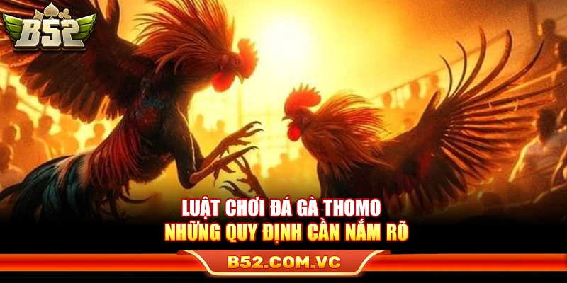 Luật Đá Gà Thomo – Những Quy Định Cần Nắm Rõ