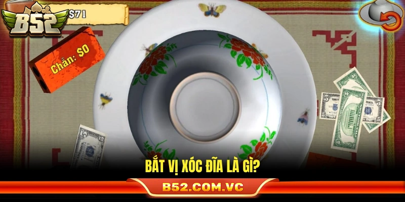 Bắt vị xóc đĩa là gì?