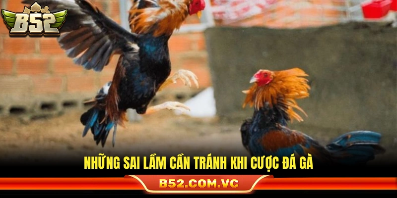 Những điều cấm kỵ khi vào tiền vào trận gà